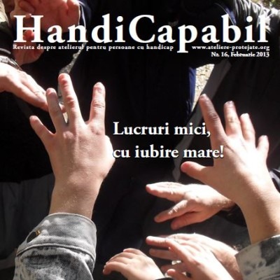 handicapabil_012013_ro